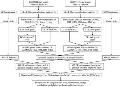 Placental circadian lincRNAs and spontaneous preterm birth